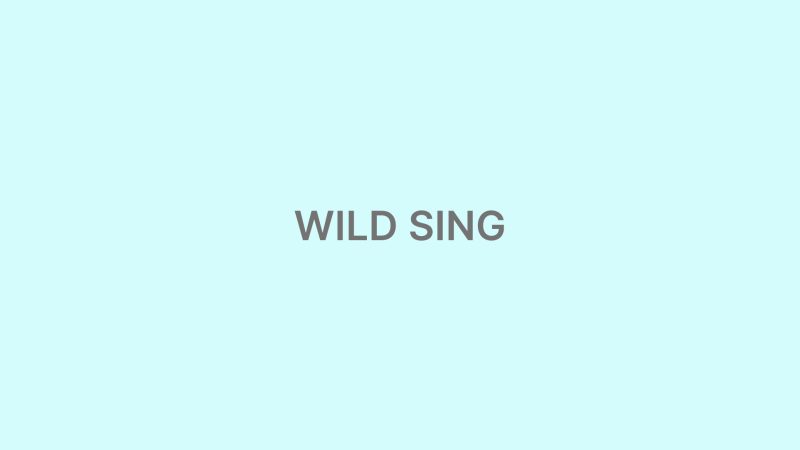 Wild Sing (film)